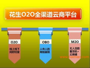 廣東F2C電商模式解決方案 專家指導、生產廠家合作與軟件開發價格解析