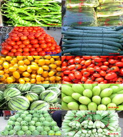 從馬路市場到現代物流園 構筑市民餐桌上的食品安全防線