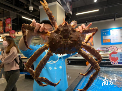 探營盒馬佛山店 二線城市首店落地，本地化策略打造鮮活粵式消費新體驗